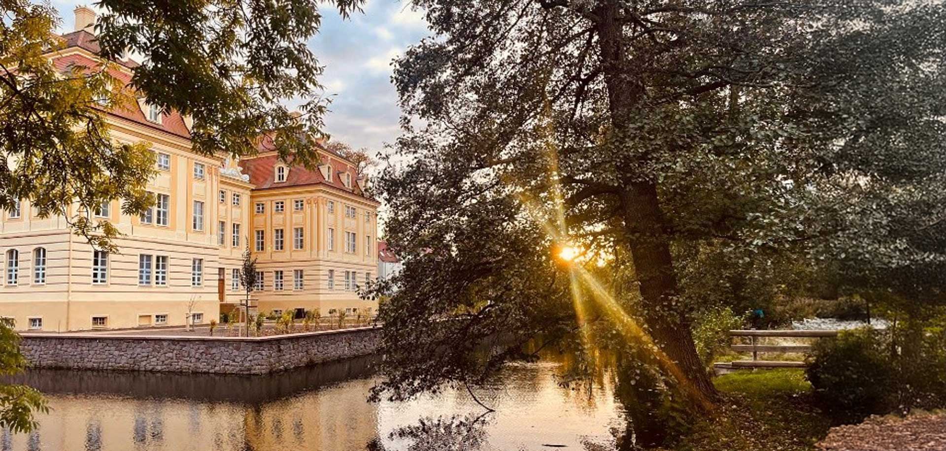 Dreistöckiges Schloss, von Wassergraben umgeben, Baum im Vordergrund, Sonne scheint durch den Baum