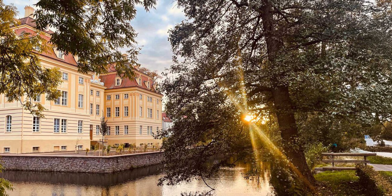 Barockschlosses Wachau: Dreistöckiges Schloss, von Wassergraben umgeben, Baum im Vordergrund, Sonne scheint durch den Baum
